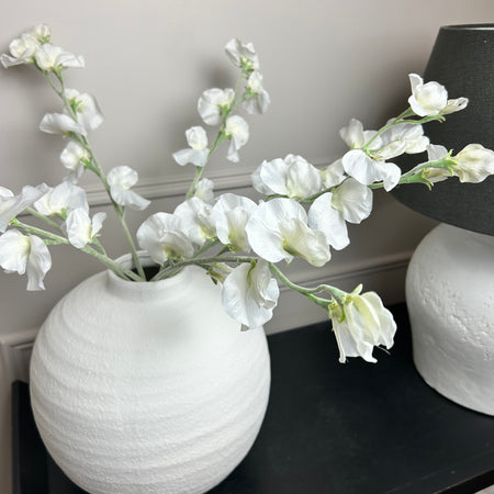 Off White Sweet Pea Tall Stem