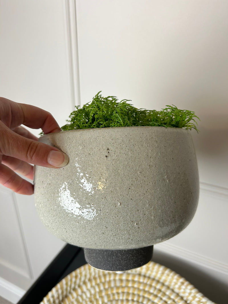 Speckled bowl plant pot on foot