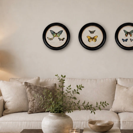 Black frame butterfly round frames pictures 38cm 3 styles