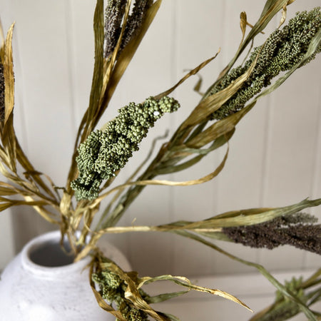 Dried Wheatgrass reed stem bunch green 65cm
