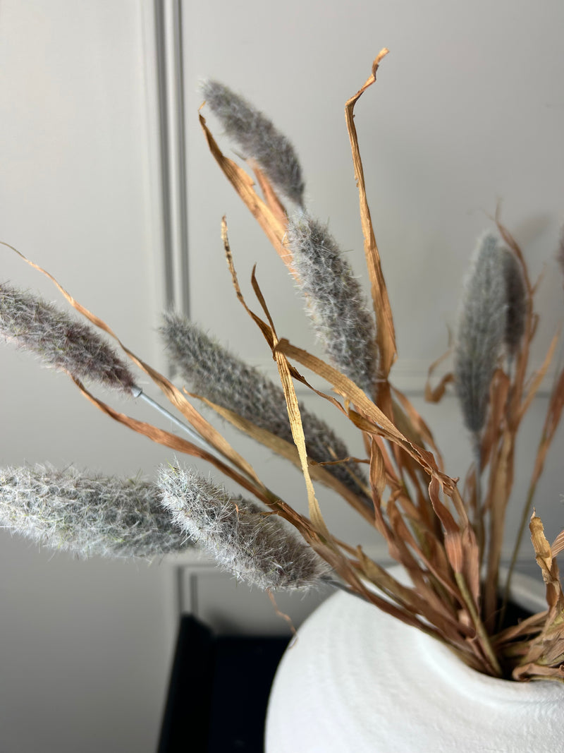 Bunny tail reed spray grey 60cm