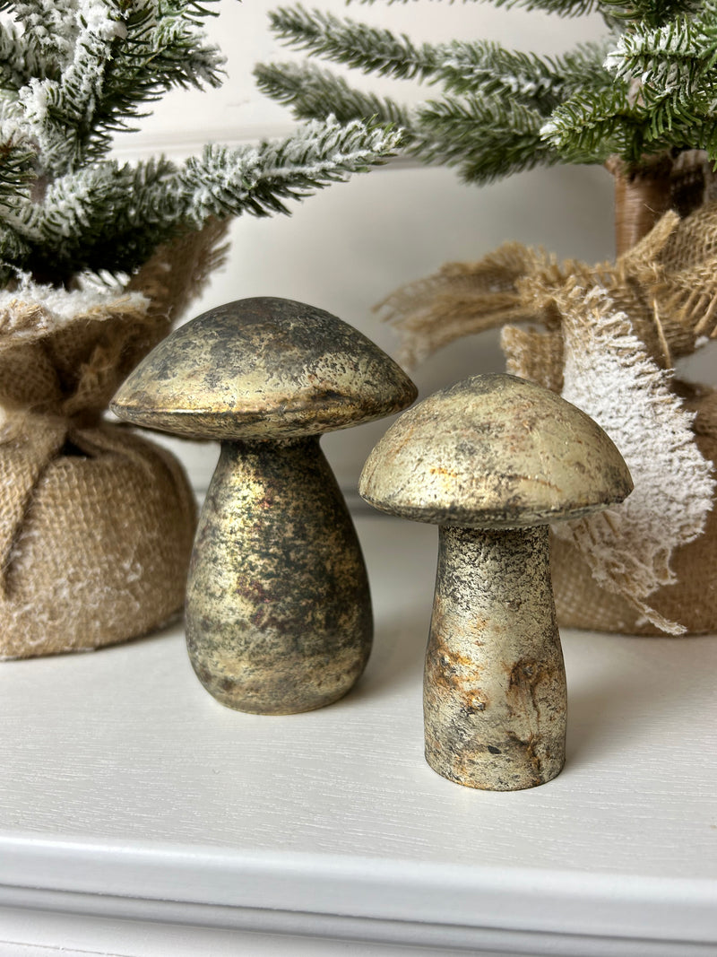 Bronze aged mushroom 2 sizes no