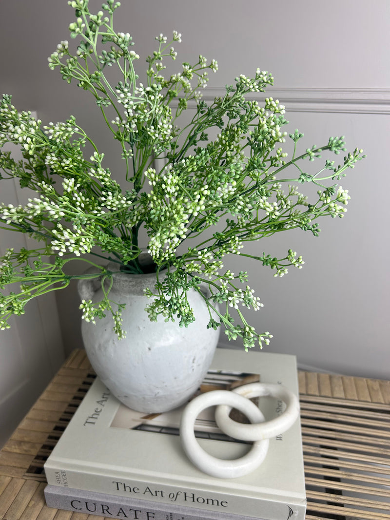 Felicity white bud seed berry bunch stem