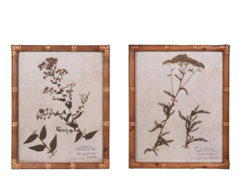 Set of 2 Achillea and Aster botanical floral Prints bamboo textured frame