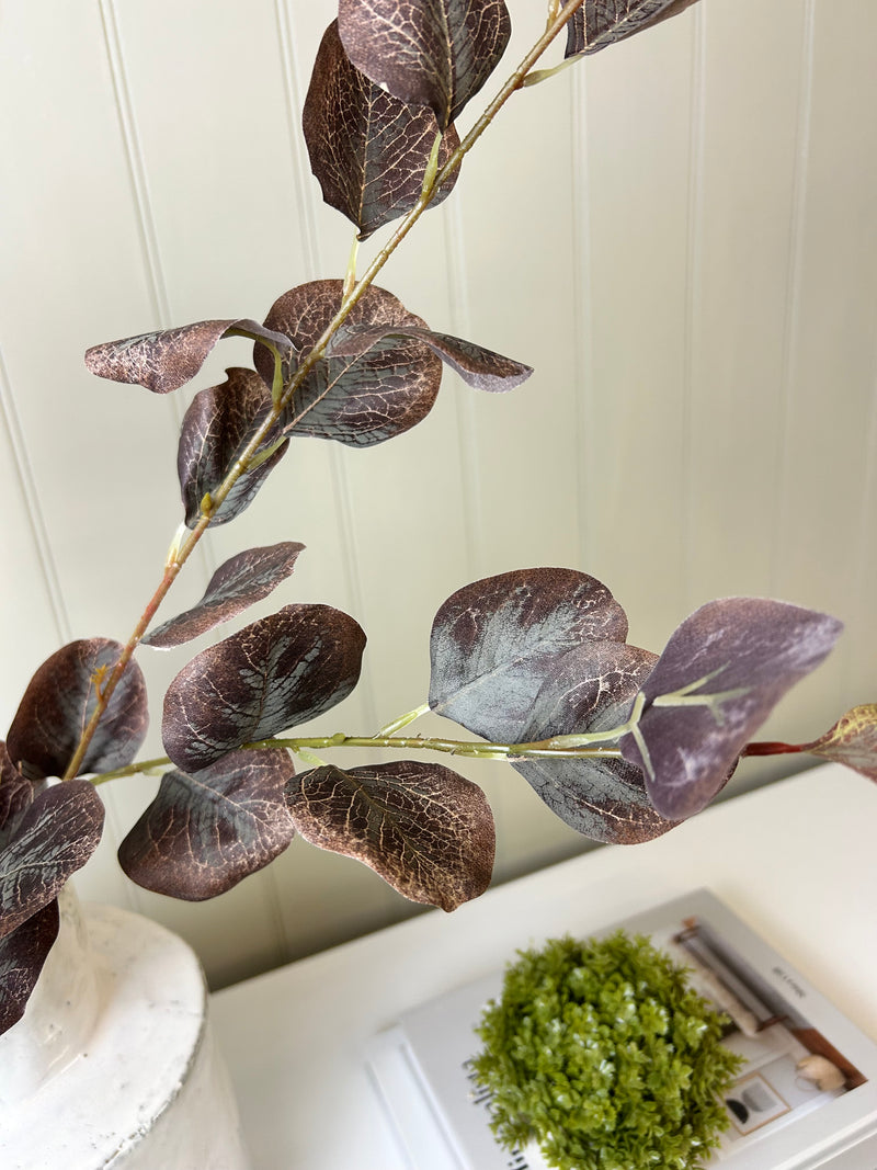 Single Burgundy Dollar Eucalyptus Stem 72cm