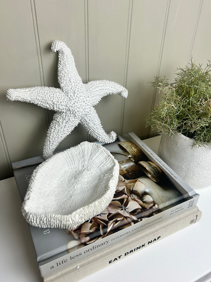Off White coral Textured Starfish