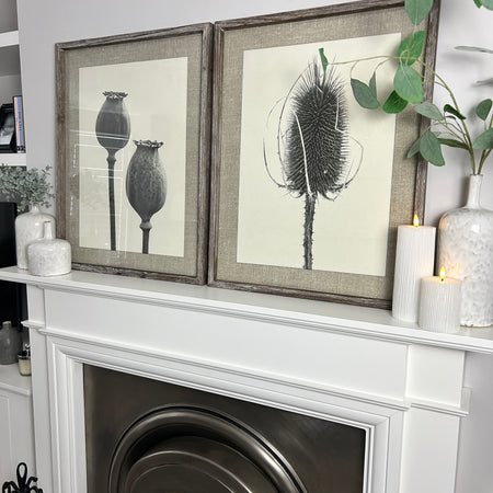 Set of two Poppy Teasel framed prints