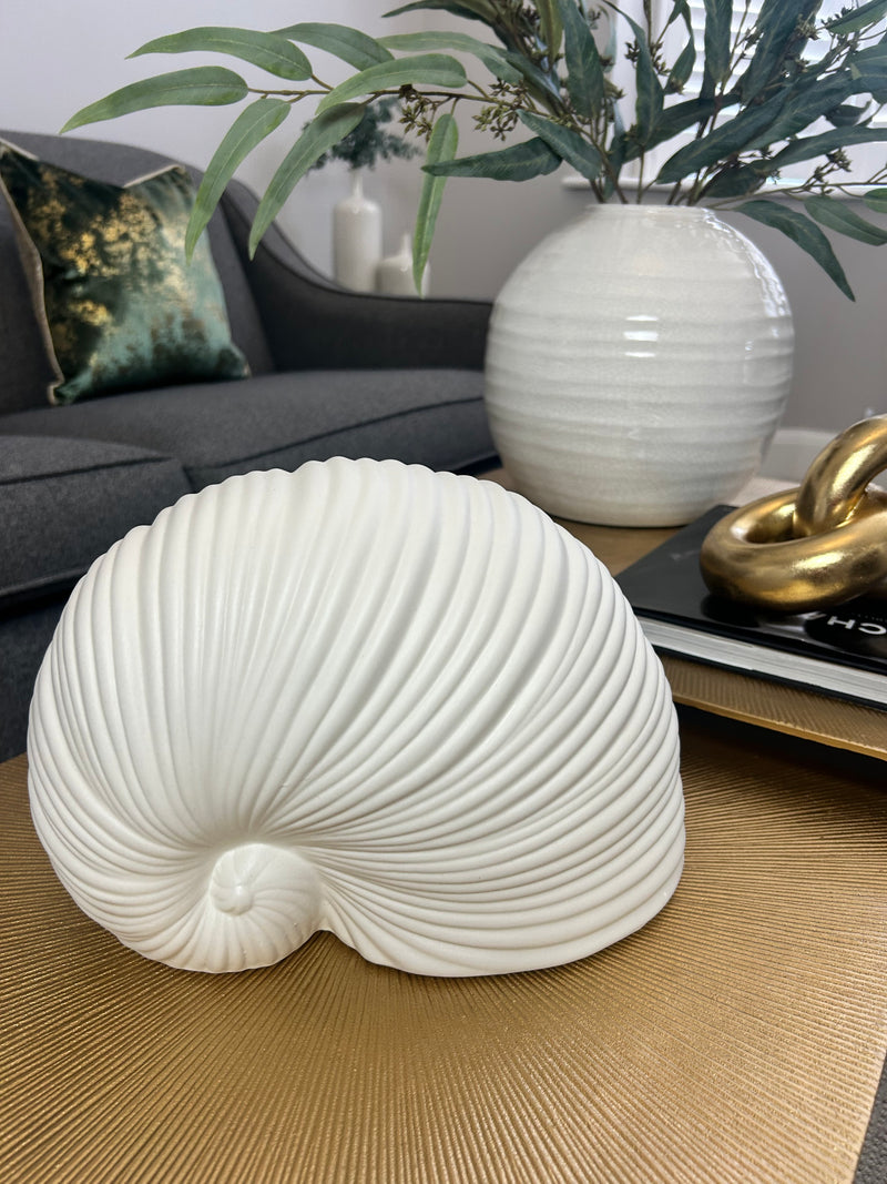 White Sea snail shell ornament