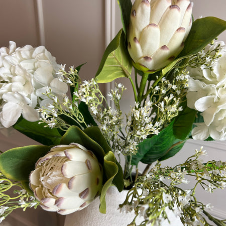 Off white closed protea stem