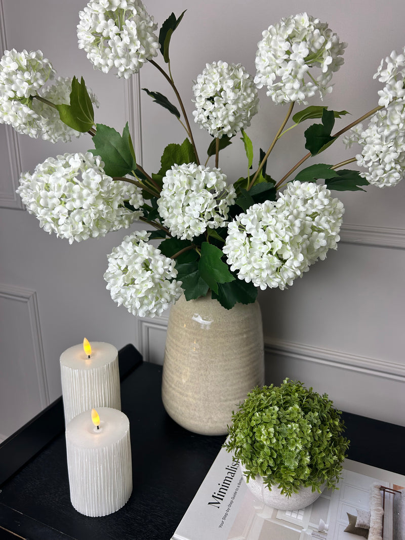 Viburnum Opulus snowball floral stem