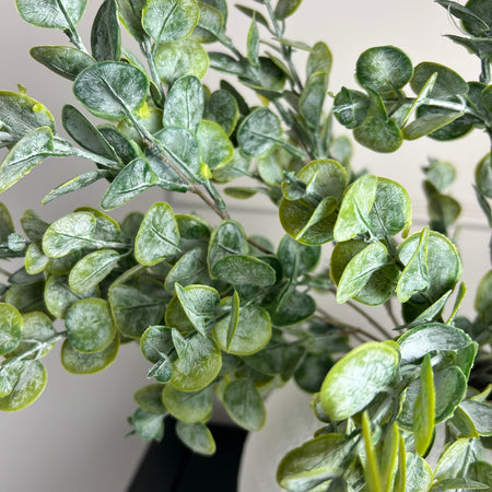Gum drop button leaf stem multi bunch eucalyptus 69cm