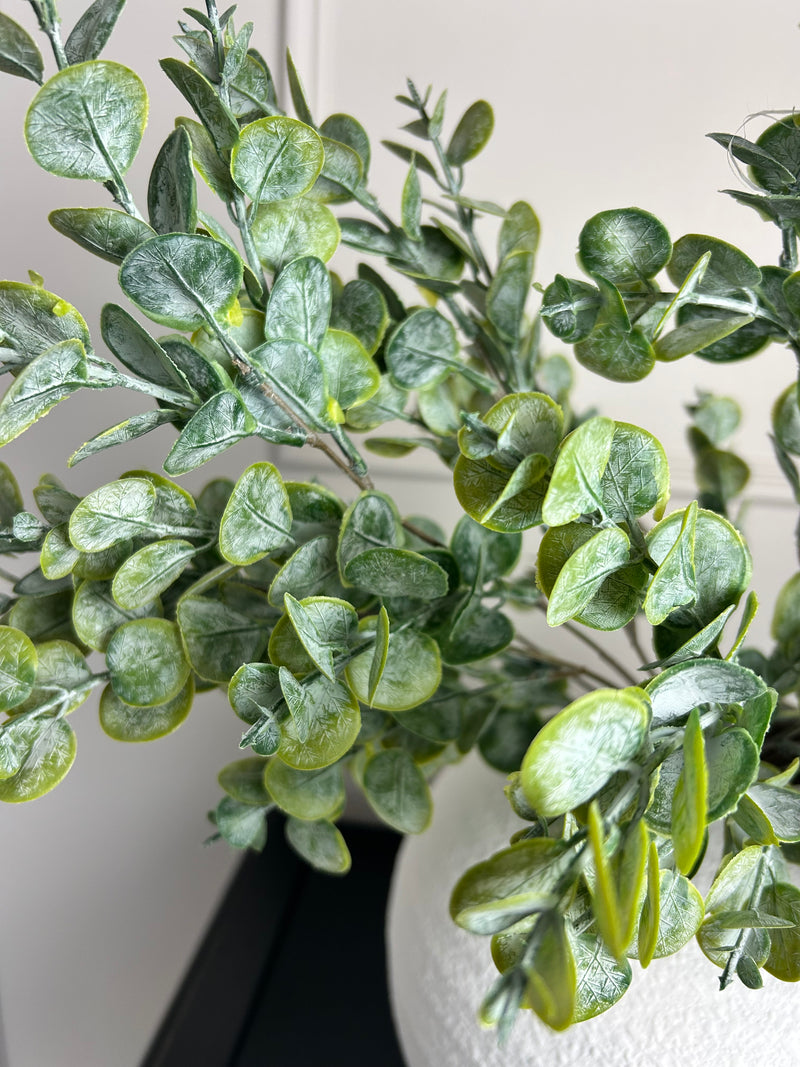 Gum drop button leaf stem multi bunch eucalyptus 69cm