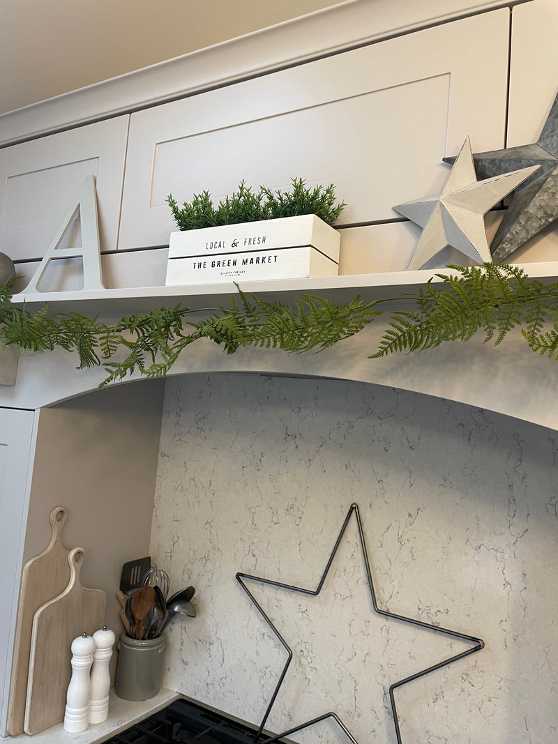 Asparagus Fern Garland 160cm