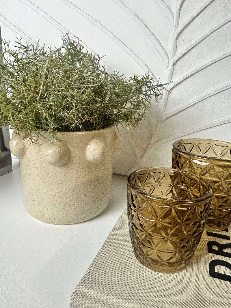 White vase with eucalyptus