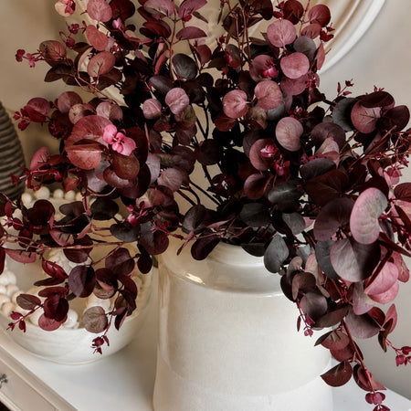 Burgundy red seeded eucalyptus