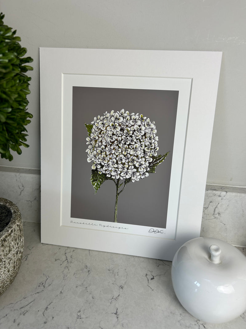 Beautiful mounted floral prints 4 styles