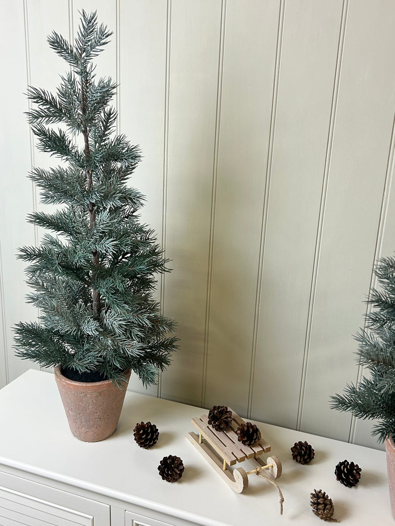 Tall 70cm potted terracotta pine tree
