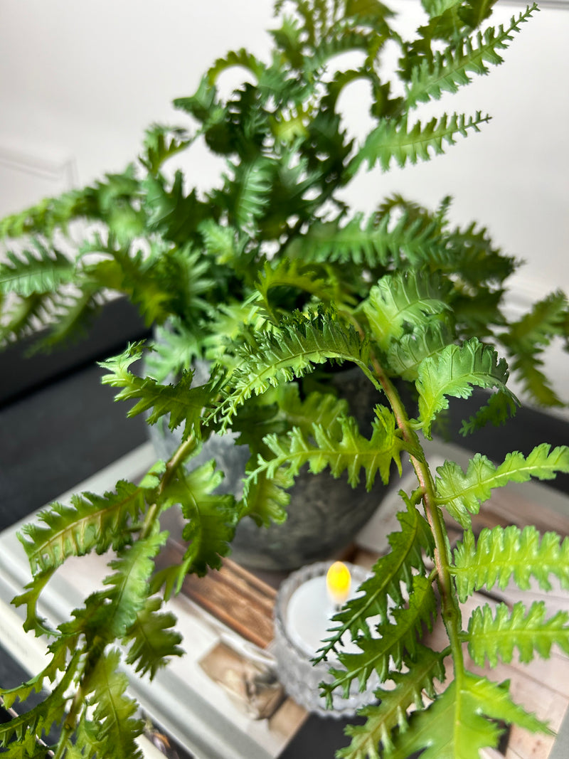 Natural Green Wild Fern Bunch Stem real feel