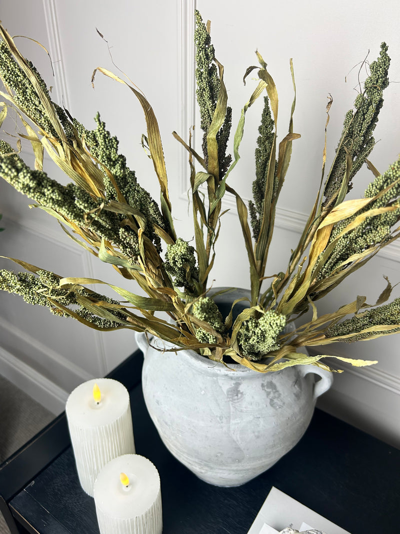 Dried Wheatgrass reed stem bunch green 65cm