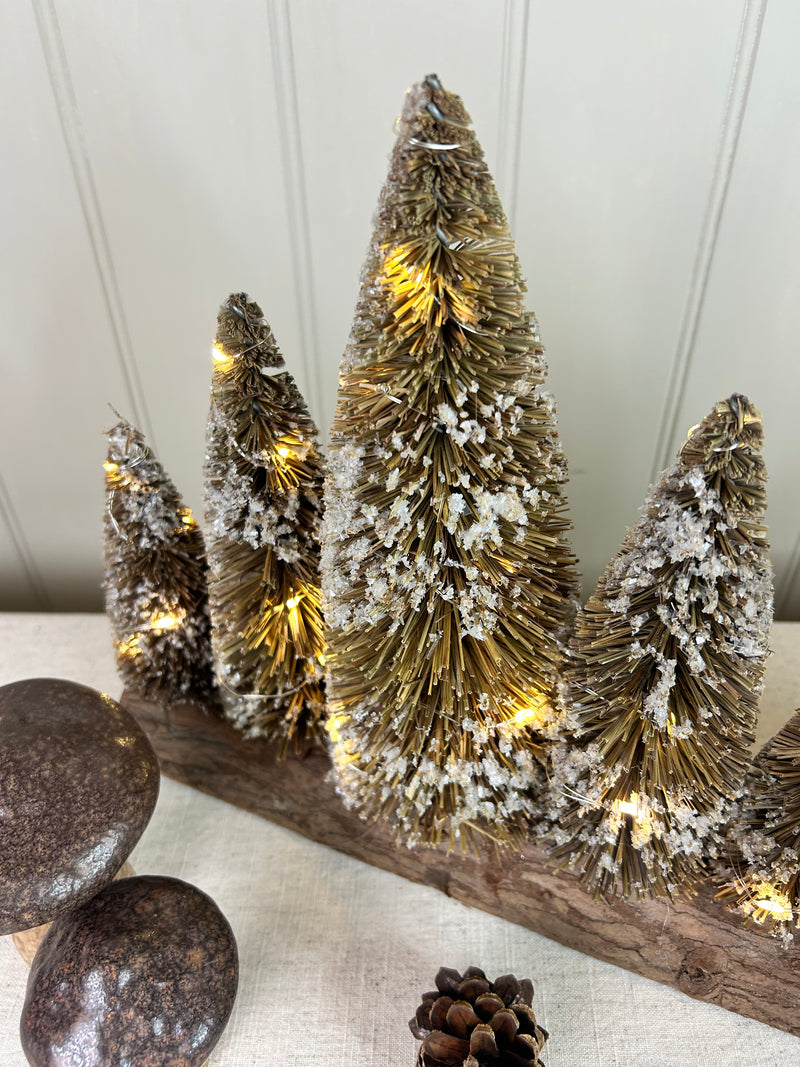 Brown Bristle Brush LED Christmas Tree long centre piece Arrangement