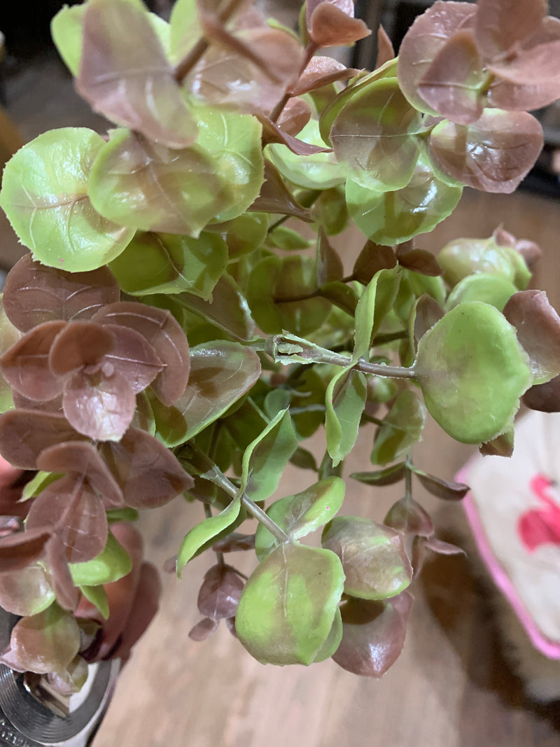 Blush & Green Eucalyptus Spray Bunch
