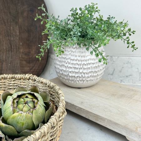Winkleigh off white cream textured large plant pot 15cm