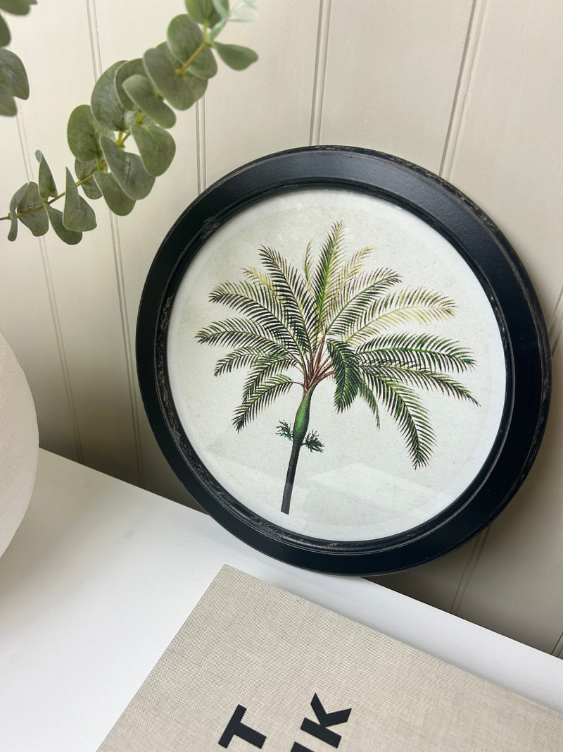 Round tree palm tree tropical print 35cm 4 styles