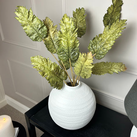 Green Dried Touch Large cabbage Leaf tied Bunch 5 stem