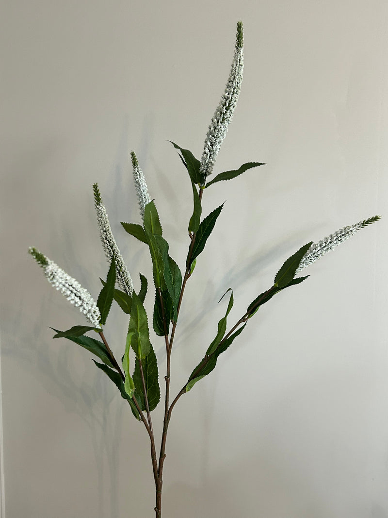 White Veronica multi stem 70cm