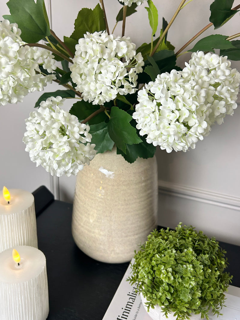 Viburnum Opulus snowball floral stem