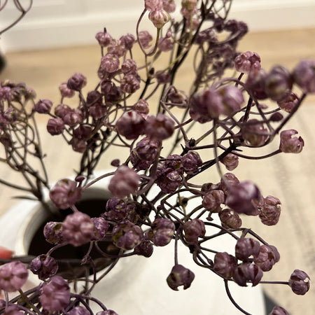 Dried look linum spray bunch 68cm mauve