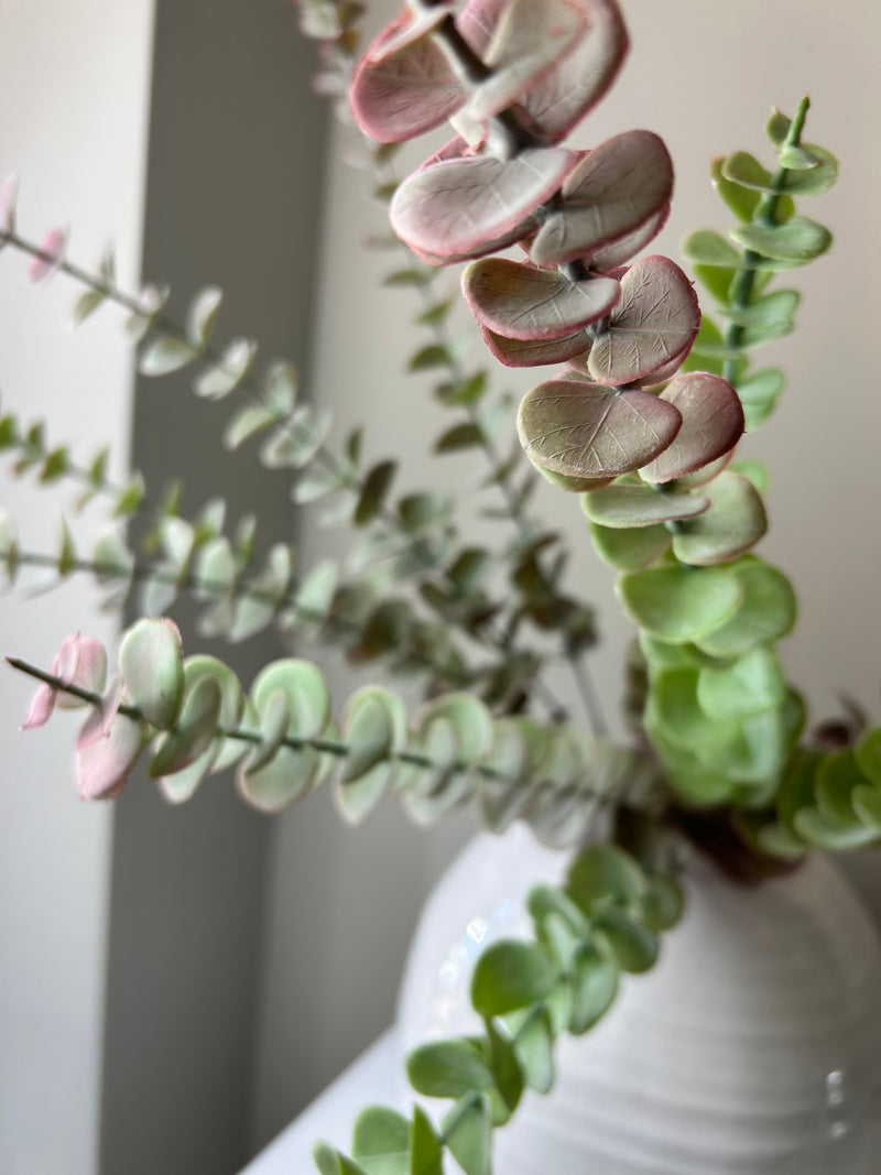 Tall stem blush eucalyptus