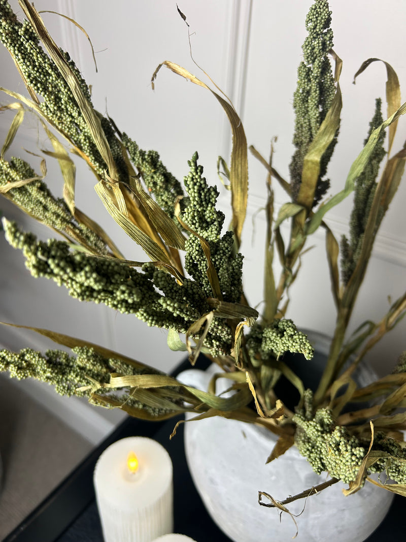 Dried Wheatgrass reed stem bunch green 65cm
