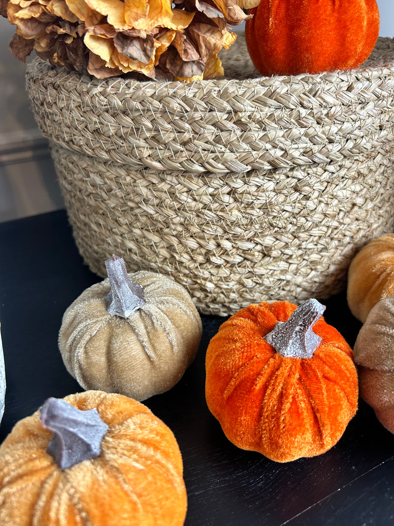 Bag of 6 autumnal pumpkins