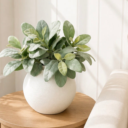 Washed finish lambs ear stem 39cm