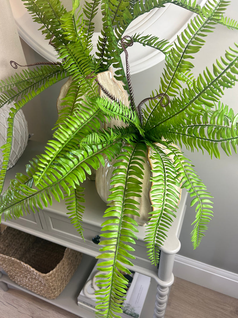 Tree fern bunch natural green pick