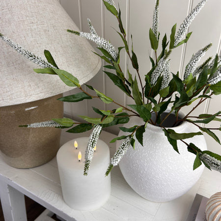 White Veronica multi stem 70cm