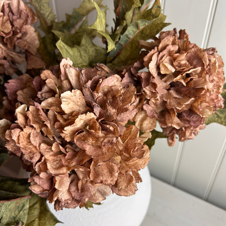 Dried touch real feel cappuccino coffee brown ruffled hydrangeas stem 52cm