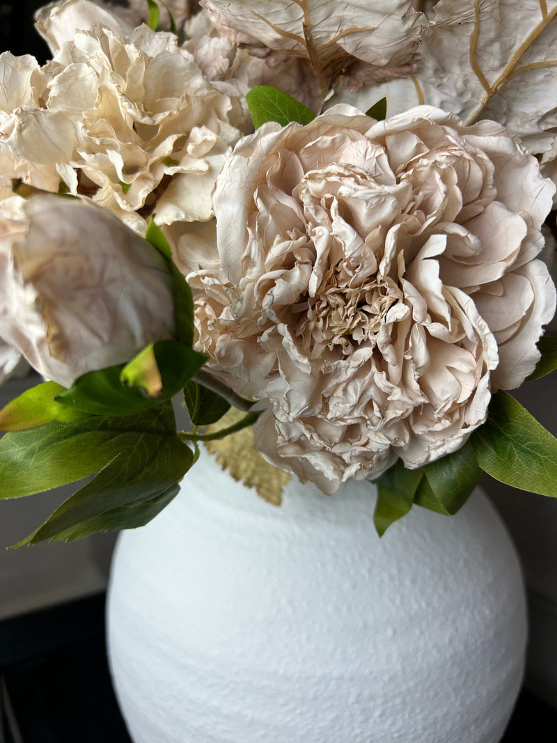 Oyster blush Dried Touch Open Peony with bud