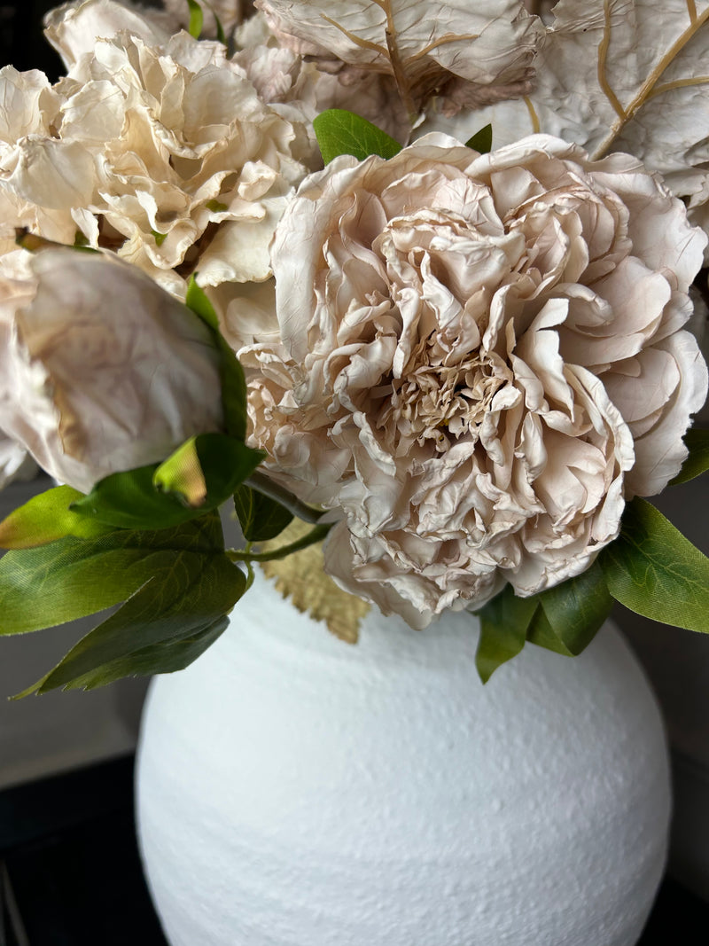 Oyster blush Dried Touch Open Peony