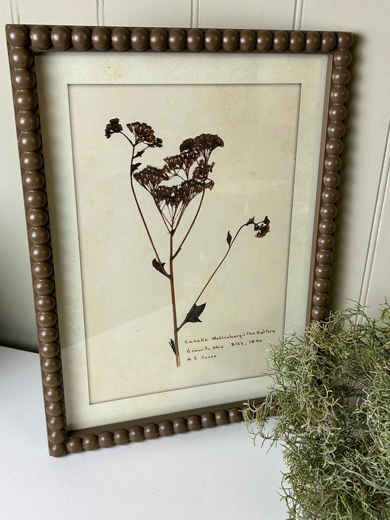 Brown bobble framed delicate floral flowers prints pictures 4 styles