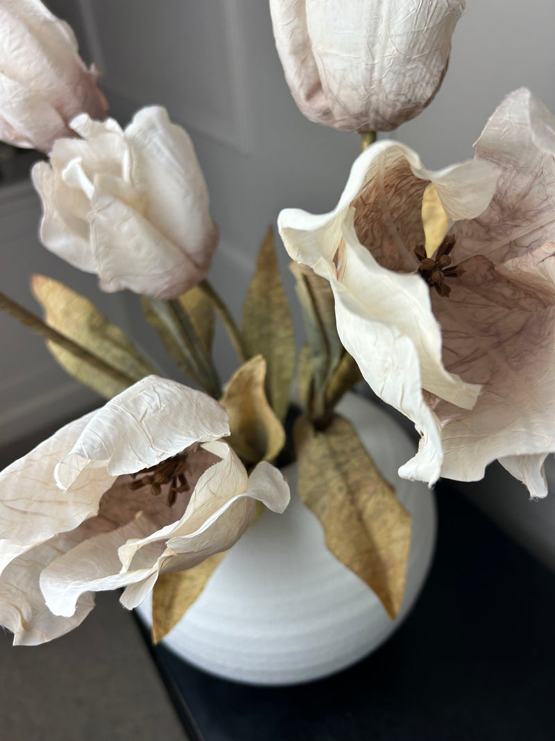 Dried real feel oyster tulip stem 70cm