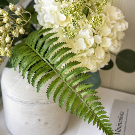 Ostrich fern single leaf stem 60cm