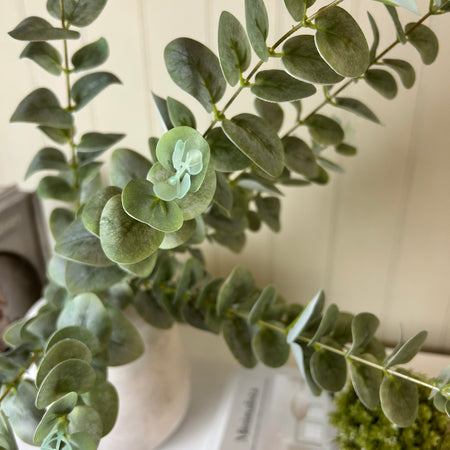 Green washed finish eucalyptus stem triple bunch 80cm