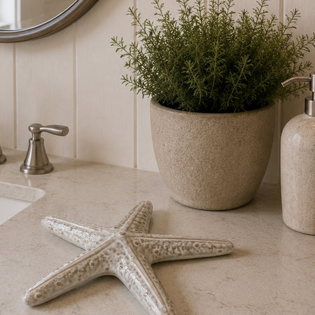 Natural two tone Ceramic Starfish