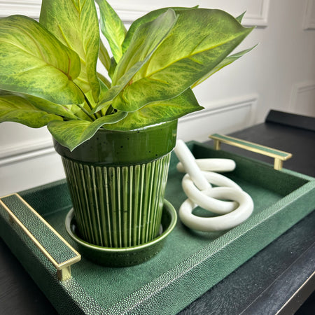 Green Faux Leather Litchi Tray With Handles