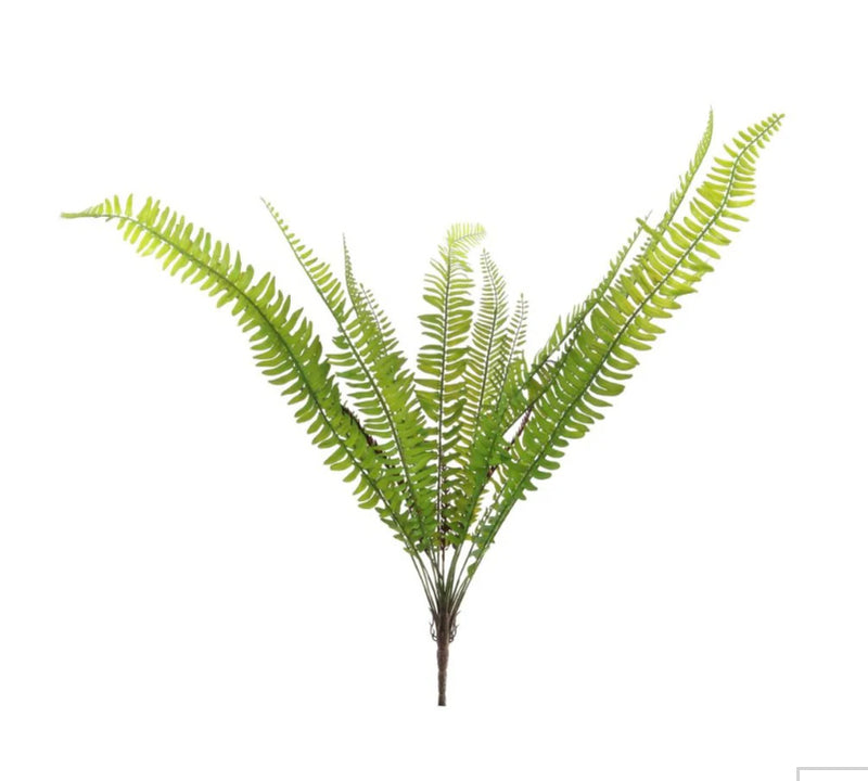 Tree fern bunch natural green pick