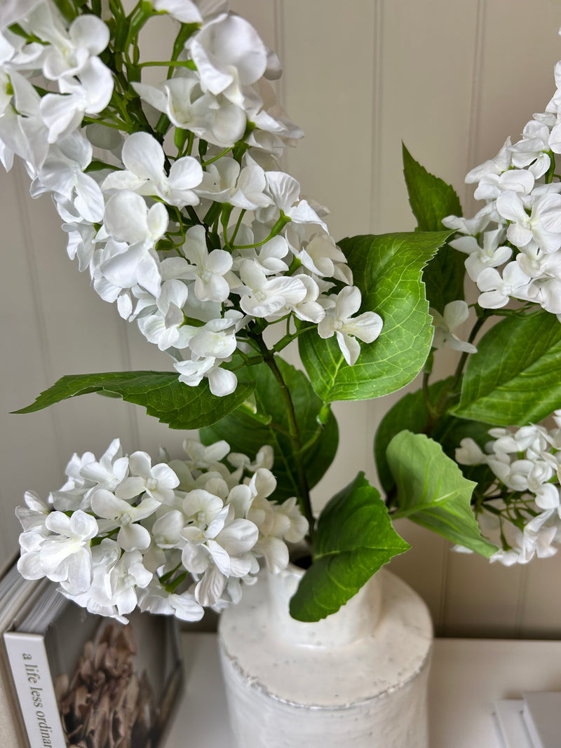 Paniculata hydrangea tall 2 head stem cream white 75cm