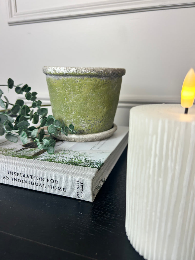 Green rustic plant pot on plate