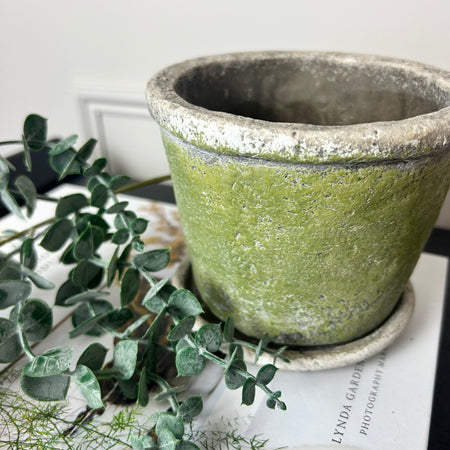 Green rustic plant pot on plate